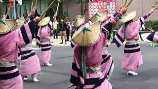 2014よさこいソーラン祭り～新琴似天舞龍神～