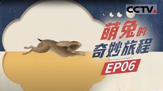 《萌兔的奇妙旅程》第6集 兔兔太可爱怎么办？那就做成商代玉兔雕刻 唐代玉兔 北宋兔枕 五彩花神杯……【CCTV纪录】