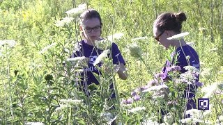 CSRI: Monarch Research