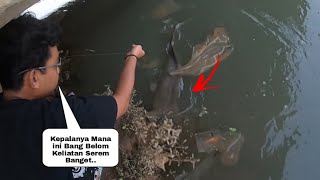 Sering Meresahkan Warga Akhirnya Tertangkap Juga ikan Monster Yg Selama ini Di Cari Cari