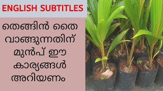 തെങ്ങിൻ തൈകൾ വാങ്ങിക്കുമ്പോൾ ശ്രദ്ധിക്കേണ്ട കാര്യങ്ങൾ | how to select coconut trees for cultivation