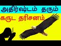 அதிர்ஷ்டம் தரும் கருட தரிசனம் | Garuda Darisanam Palangal |கருட தரிசனம் பலன்கள்| Astrology Zone