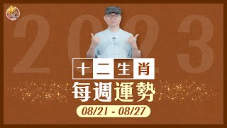 2023年8/21-8/27：十二生肖每週運勢｜旺好運 x 張明老師