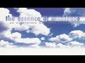 V.A. - The Essence Of Ambience | Full 4x Mix