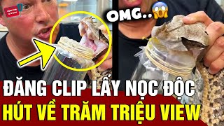 Đăng Clip LẤY NỌC ĐỘC rắn hổ mang, người đàn ông hút về 130 TRIỆU VIEW trên mạng xã hội | Động Tiin