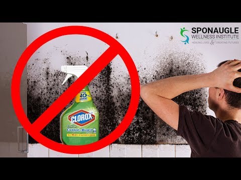 DONT USE BLEACH! How to kill black mold safely! DONT USE BLEACH! How to kill black mold safely!
