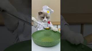 Eggs Vaja🥚 #short #short #viral #tiktok #youtubeshorts #ytshorts #catcookingfood #cat