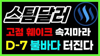 [스팀달러 전망] 고점같다고요? 훼이크 속지마세요 \