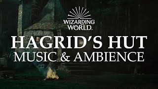 Hagrid's Hut | Harry Potter Music & Ambience - Rain and Night Sounds Near the Forbidden Forest