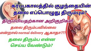 கர்ப்பகாலத்தில் குழந்தையின் தலை எப்பொழுது திரும்பும்?Baby head down vara ena seiya vendum