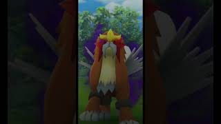 抓暗影炎帝囉！#炎帝#エンテイ #Entei#0244#pokemongo #pokemon #shorts #火屬性#short #精靈寶可夢 #精靈寶可夢go #逆襲#讚啦#團體戰#寶可夢傳說