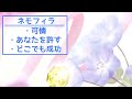 【プロセカ】誕生日限定 花言葉まとめ【全ユニット ver.】