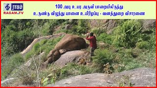 100 அடி உயர அருவி பாறையிலிருந்து உருண்டு விழுந்து யானை உயிரிழப்பு : வனத்துறை விசாரணை | #RAGAMNEWS