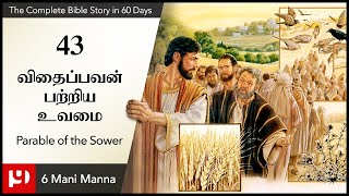 43.விதைப்பவன் பற்றிய உவமை / The parable of the sower / The Complete Bible Story in 60 days