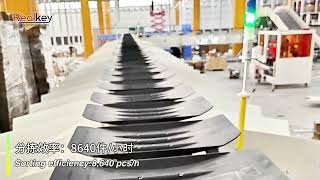 Tilt Tray Sorter System Project Case | High-Speed Automated Parcel Sorting Solution by Realkey