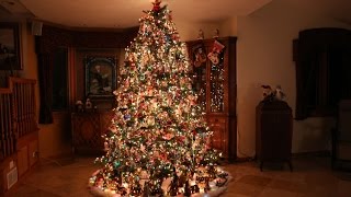 Building the Most Beautiful Christmas Tree (Time Lapse)   And Christmas present ideas in description