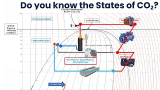 Do You Know the States of CO₂ in a Transcritical System?