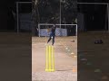 upcoming mystery spinner from bangladesh cricket shorts