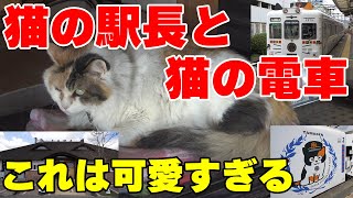 【猫好き必見】猫の駅長で有名な和歌山電鐵貴志川線は超楽しい