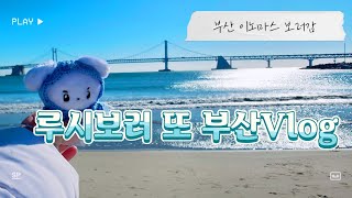 왈왈이Vlog | 백수여도 루시는 보러간다 | 20250208 부산 이노마스