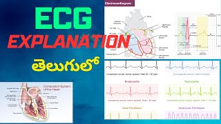 Explain about ECG || ECG Part-1 || Explain about heart rate #ecg #heartrate #normalheartrate