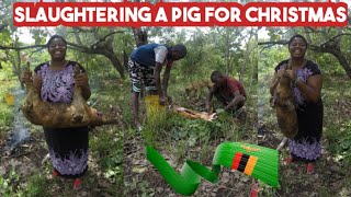 Christmas at the Farm: Slaughtering a Pig \u0026 Cooking Intestines and Blood Delicacies #pig #pork