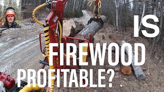 Firewood Logs, Profitability \u0026 Sustainability -E15