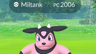 CATCHING POKÉMON GO MILTANK ミルタンク Miltank | Écrémeuh 밀탱크 | 大奶罐 | मिलटैंक |  Милтанк | มิลแทงค์