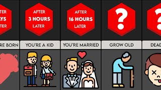 Comparison:What If You Lived For Only 24 Hours