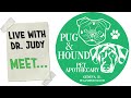 Sponsor Spotlight | Krysta Fox - Pug & Hound Pet Apothecary