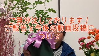 ご無沙汰しております！ご報告と今後の動画投稿について