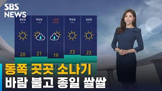 [날씨] 동쪽 곳곳 소나기…바람 불고 종일 쌀쌀 / SBS