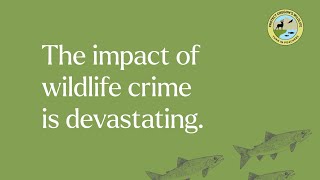 Why poaching is a problem in Oregon