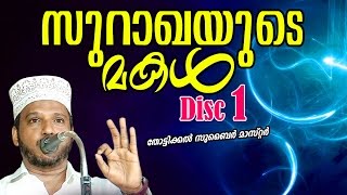 സുറാഖയുടെ മകള്‍ | Zubair Master Thottikkal | Islamic Kadha Prasangam Malayalam