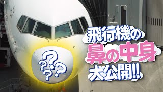 【ANA整備士】飛行機の鼻の中身大公開！！【ひこトモ】