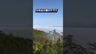 四方です。亀岡で雲海が見れるのはご存知でしょうか？かめおか霧のテラスに行ってきました🚗³₃ #かめおか霧のテラス #霧 #丹波霧 #特急印刷