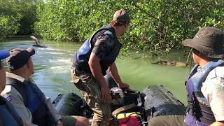 JUNGLE PATROL I Costa Rica's Mangroves are amazing