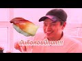 บุฟเฟต์ชาบู ซูชิเนื้อวากิวไม่อั้น จัดกันแบบจุกๆ eataround ep.210