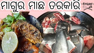 ମାଗୁର ମାଛ ତରକାରି (ମାଛ ଝୋଳ) Magura Machha Tarakari | Magura Fish Curry Recipe | #magurafishhcurry