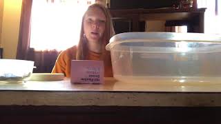 Straw Bridge Stem Activity