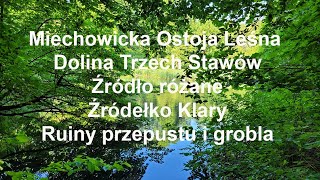 Miechowicka Ostoja Leśna. Dolina Trzech Stawów. Ruiny przepustu i grobla. Źródełko Klary. Bytom.