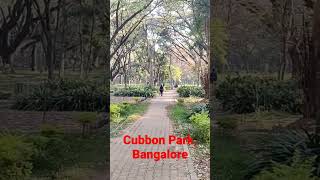 Cubbon Park #banglore #bengaluru #kannada #viral #morning #morningroutine #asthetic #vlog #vlogs