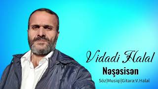 Vidadi Halal - Nəşəsisən 2024 (Official Audio)