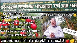 गर्म क्षेत्रों में सेब की खेती करने से पहले👈 विडियो जरूर देखे🍎HRMN99श्रीहरिमन‌ शर्मा द्वारा जानकारी🍎