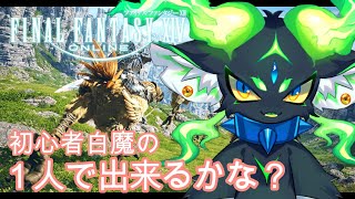 【FF14:Gaia鯖】朝活で一人のんびり何かするる【Vtuber/ありさんて】