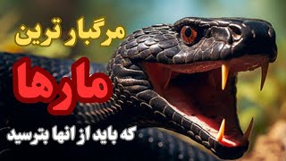 مرگبارترین مارهای دنیا|مار سمی که با نیشش میتونه 100 نفرو یکجا بکشه !!!!!!