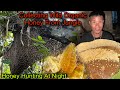 Collecting Wild Natural Honey From Jungle ! Honey Hunting At Night || Life in Jungles ||Village Life