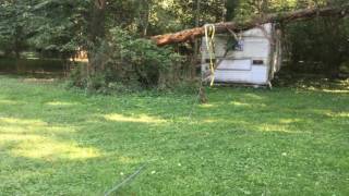 M35A2 Deuce and a half pulling down a fallen tree from a camper with winch.