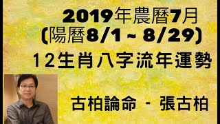 2019年農曆7月(國曆8/1~8/29)運勢12生肖八字流月分享 ~~ 哪些生肖最好運? 哪些生肖要注意?  (有字幕)