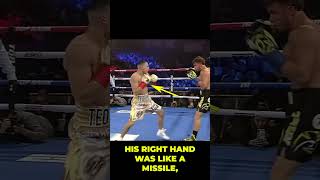 Teofimo Lopez DESTROYS Mason Menard! #teofimolopez #knockout #boxing